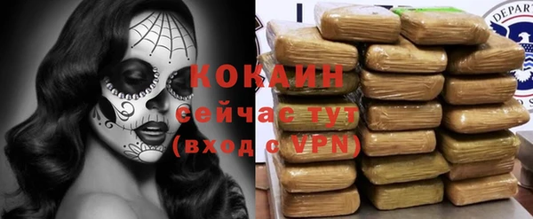 Альфа ПВП Верея