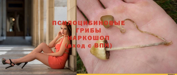 Альфа ПВП Верея