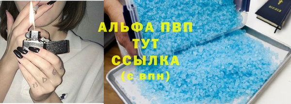 крисы Бородино