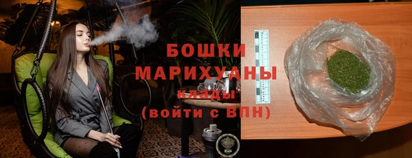 Альфа ПВП Верея