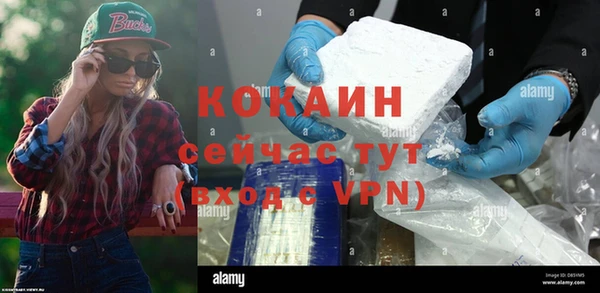 крисы Бородино
